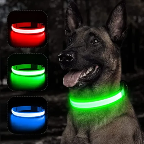 LED Lysande Hundhalsband