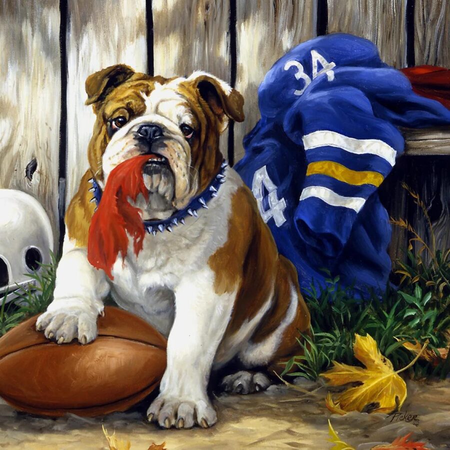 500 Bitar Pussel - Amerikansk Bulldog