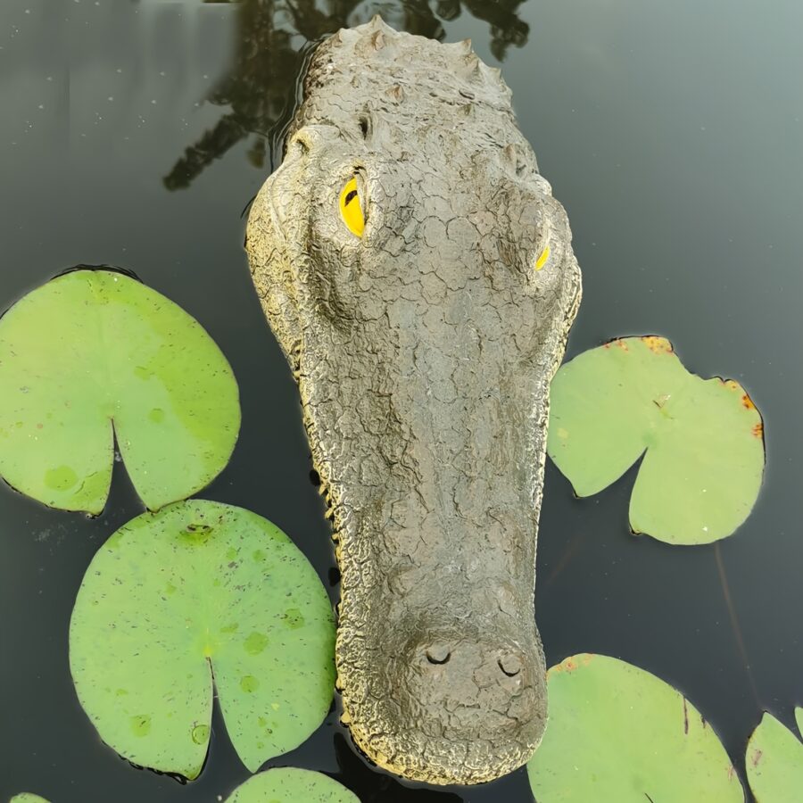 Realistiskt Alligatorhuvud – Flytande Dammdekor – bild 2 av 3