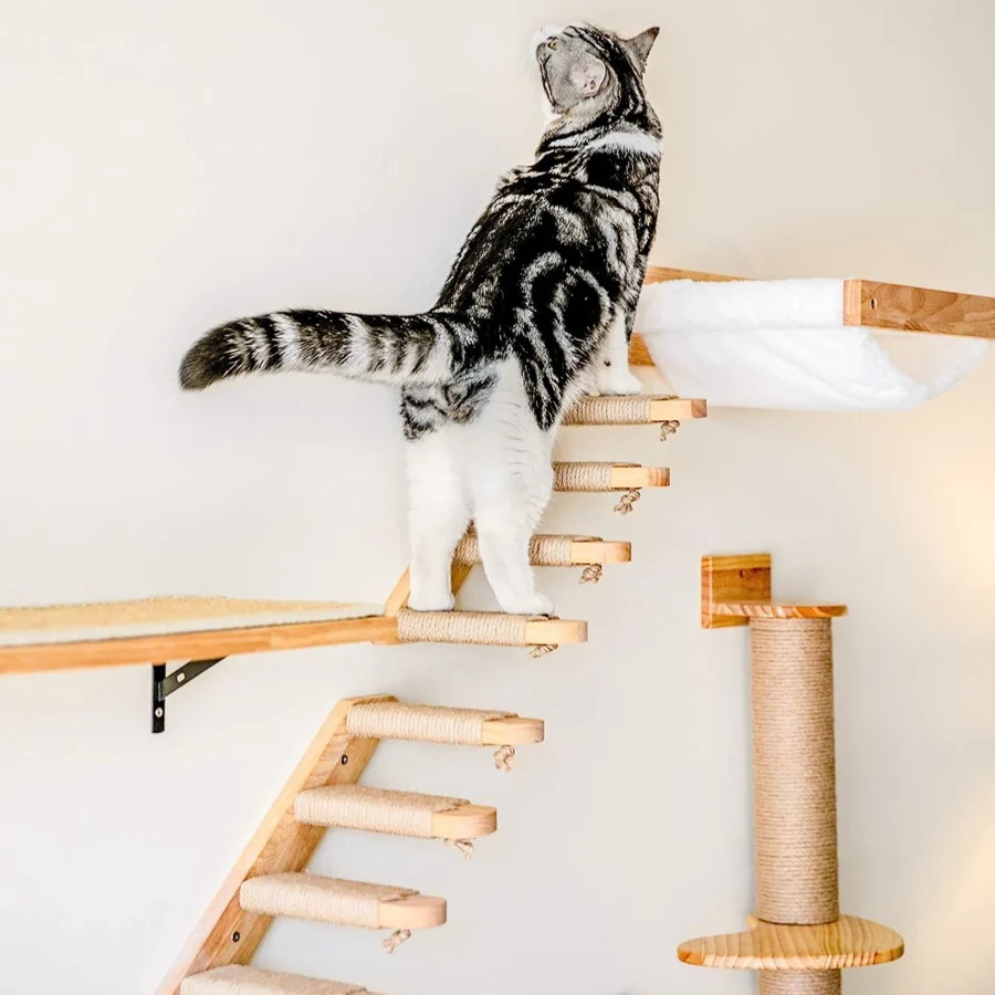 Kattklättringshylla i Trä - Väggmonterade – bild 5 av 5
