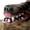 Halloween Vargmask och Handskar – Vargkostymset