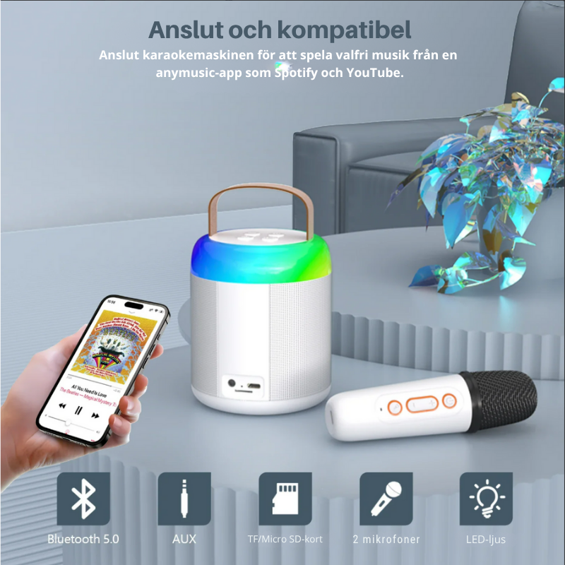 Karaoke Högtalare med 2 Mikrofoner