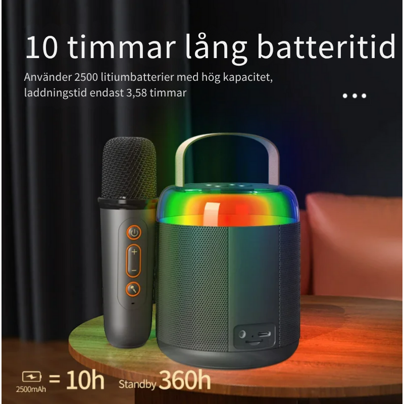 Karaoke Högtalare med 2 Mikrofoner