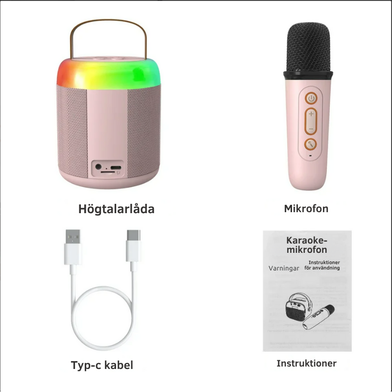 Karaoke Högtalare med 2 Mikrofoner